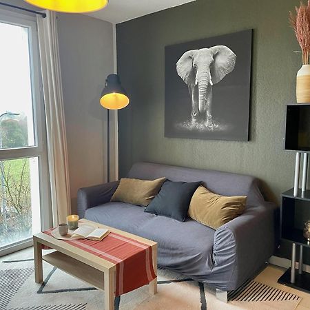 קולומייר Le Colorado - Appartement Proche Airbus מראה חיצוני תמונה